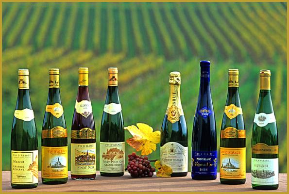 Eight bottles of Alsace wine stand in a row on a wooden surface. A small bunch of red grapes and two yellow leaves sit in front, with a scenic French vineyard stretching into the distance—perfect for a luxury canal barge river cruise experience.