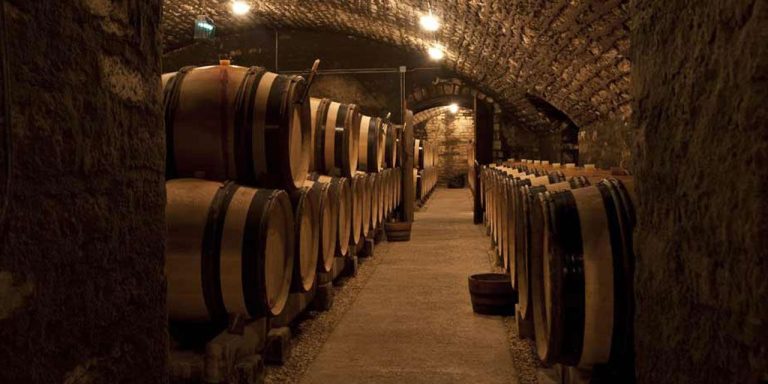 A dimly lit stone wine cellar with arched ceilings, lined on both sides with rows of large wooden barrels aging the best French wine. Warm lights illuminate rustic brick walls, creating a cozy atmosphere along the narrow path through the center.
