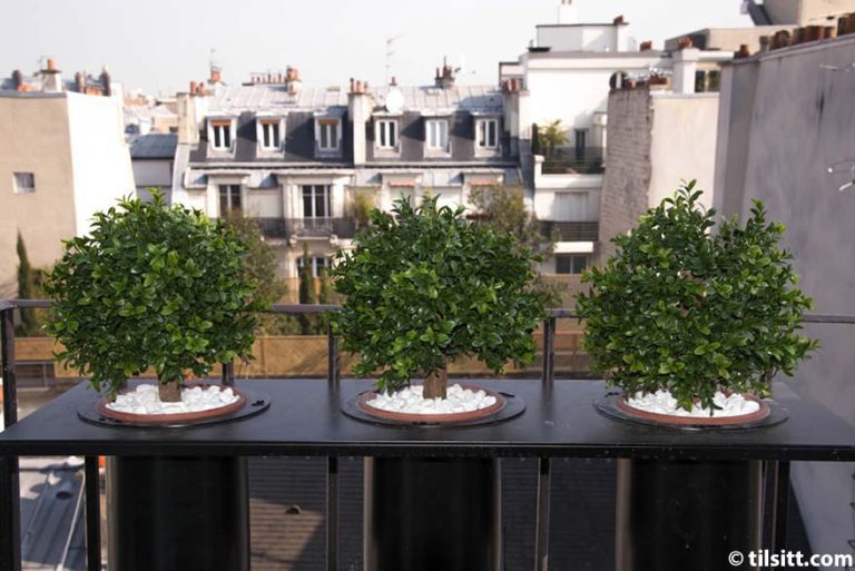 Three round, green potted topiary plants sit on a balcony railing at Hotel Tilsitt Etoile, each in a pot filled with white stones. Parisian-style apartment buildings with gray roofs and chimneys form the charming boutique hotel backdrop.