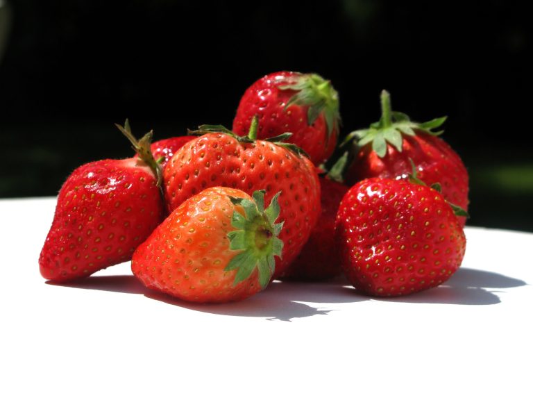 A small pile of fresh, ripe strawberries with green stems sits on a white surface, brightly lit by sunlight. These vibrant red berries capture the essence of alimentation française, standing out against the dark, out-of-focus background.